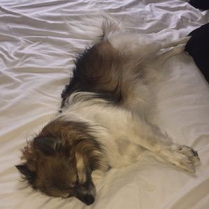 Meet your Posher, Kolleen